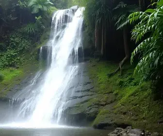 Cascata do Caracol